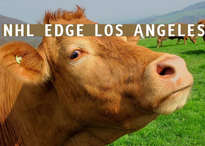 NHL Edge Los Angeles Font examples