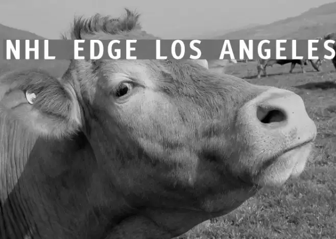 NHL Edge Los Angeles Example 2