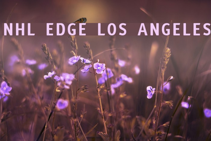 NHL Edge Los Angeles Font examples