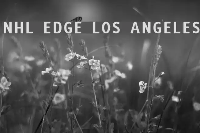 NHL Edge Los Angeles Example 3