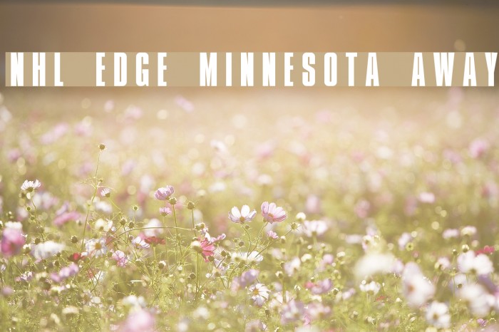 NHL Edge Minnesota Away Font examples