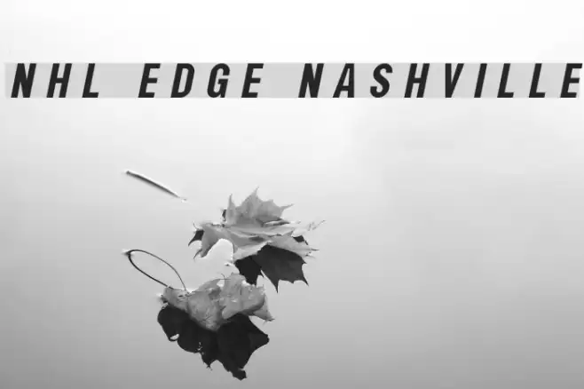 NHL Edge Nashville Example 1