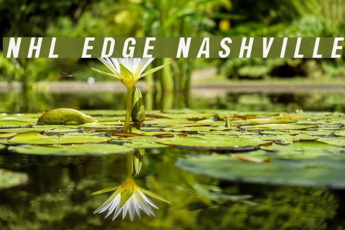 NHL Edge Nashville Font examples
