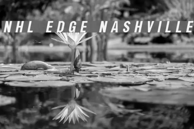 NHL Edge Nashville Example 2
