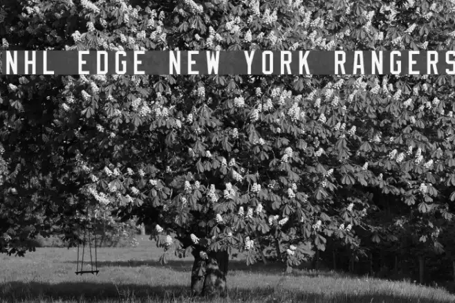 NHL Edge New York Rangers Example 3