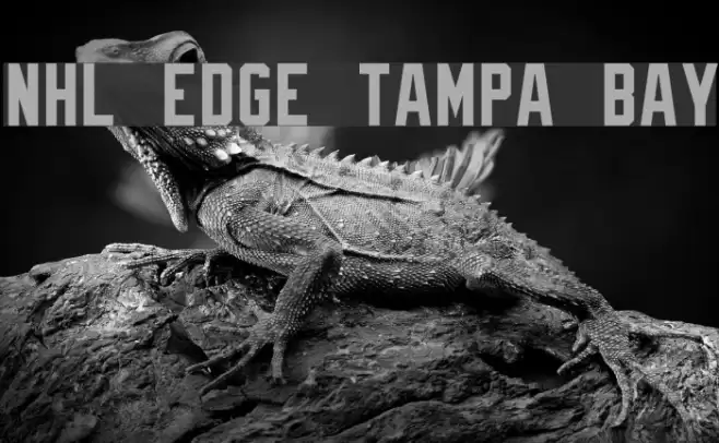 NHL Edge Tampa Bay Font examples
