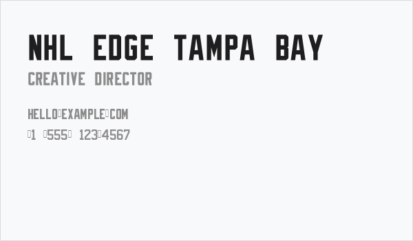 NHL Edge Tampa Bay Business Card