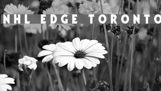 NHL Edge Toronto Example 1