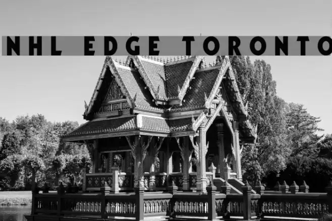 NHL Edge Toronto Example 2