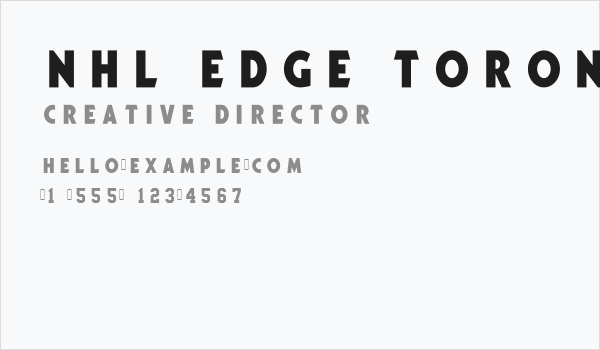NHL Edge Toronto Business Card