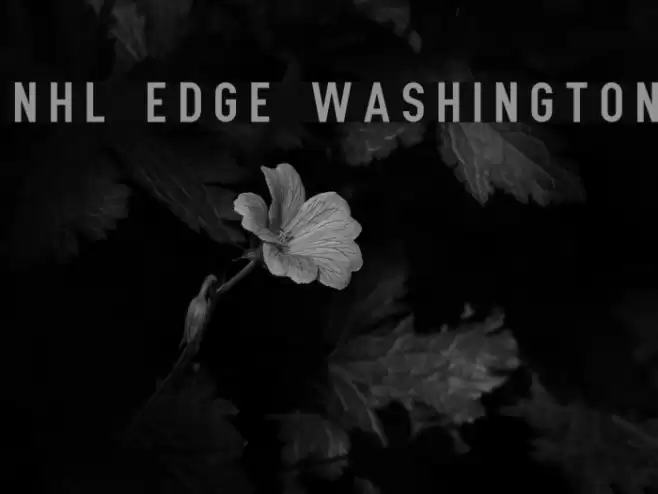 NHL Edge Washington Font examples