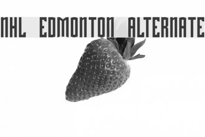 NHL Edmonton Alternate フォント examples