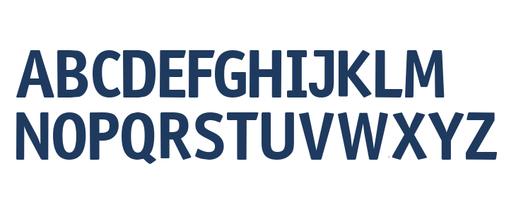 NHL Los Angeles Lowercase