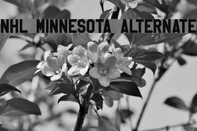 NHL Minnesota Alternate Font examples