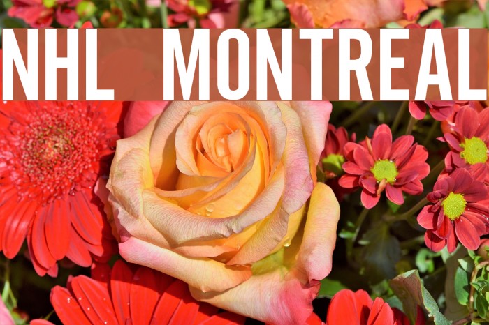 NHL Montreal Font examples