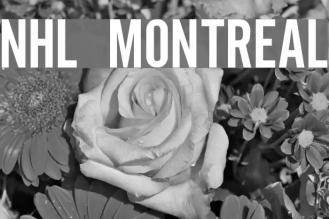 NHL Montreal Example 2
