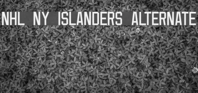 NHL NY Islanders Alternate Example 2