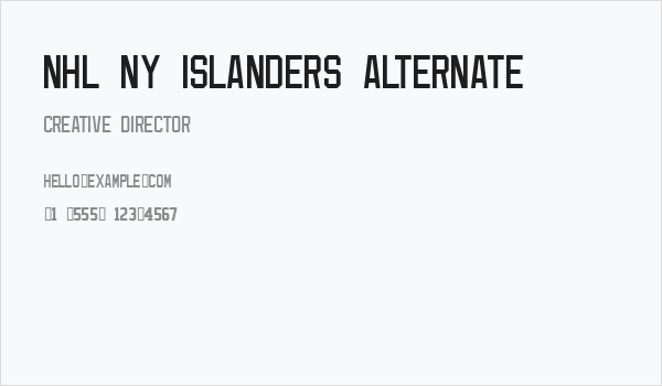 NHL NY Islanders Alternate Business Card