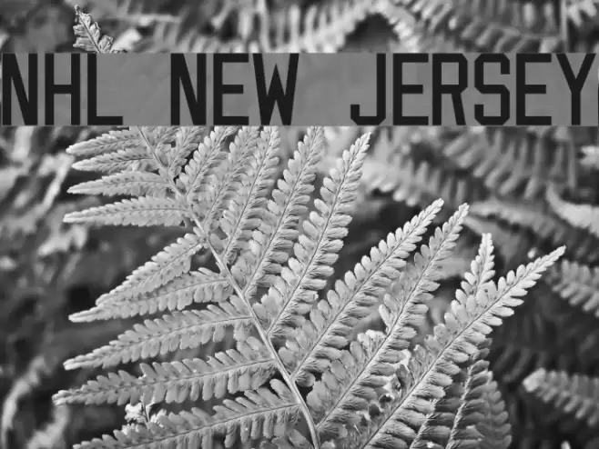 NHL New Jersey Font examples