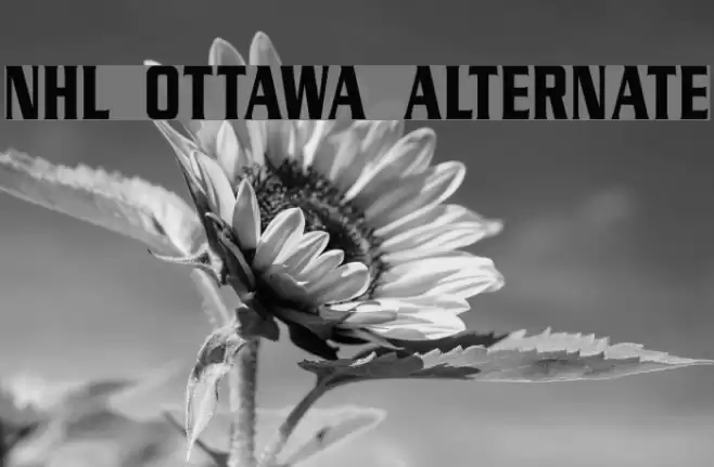 NHL Ottawa Alternate Font examples