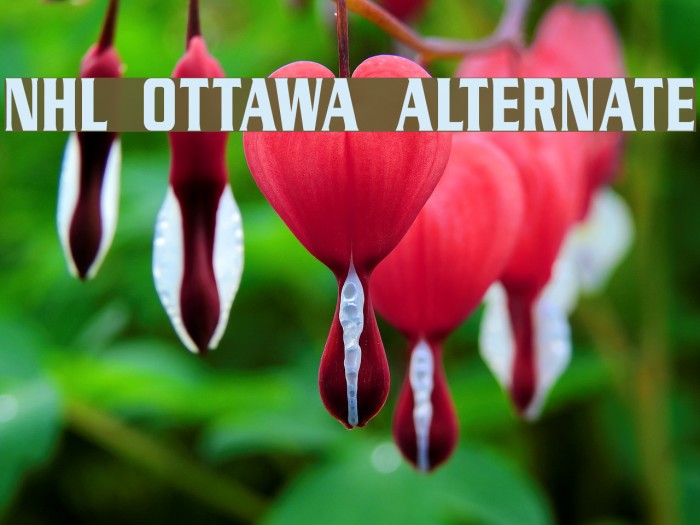 NHL Ottawa Alternate Example 2