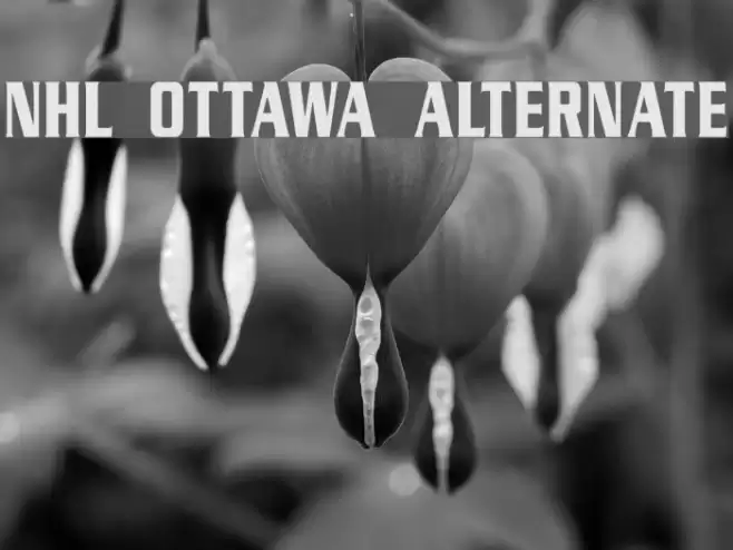 NHL Ottawa Alternate Font examples