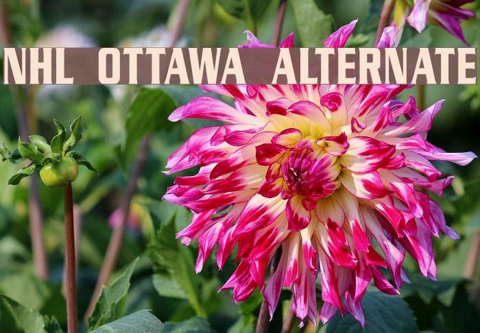 NHL Ottawa Alternate Example 3