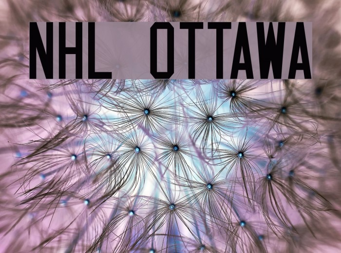 NHL Ottawa Font examples