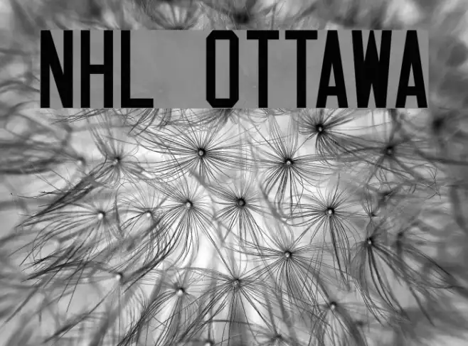 NHL Ottawa Example 1