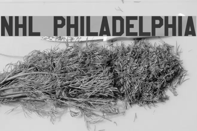 NHL Philadelphia Font examples