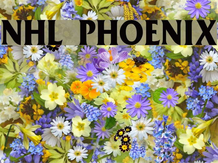 NHL Phoenix Font examples