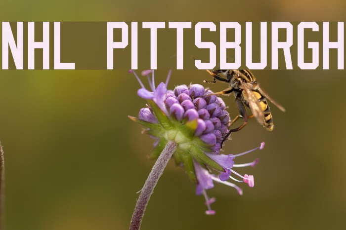 NHL Pittsburgh Font examples