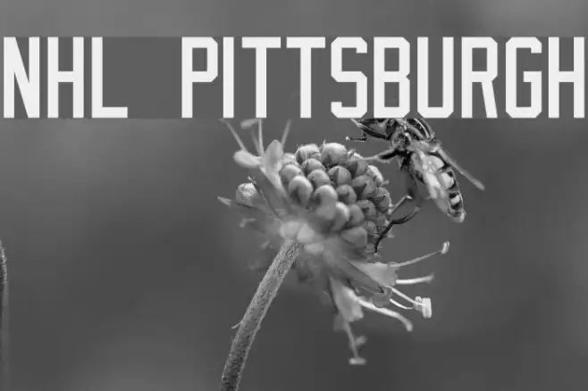 NHL Pittsburgh Example 2