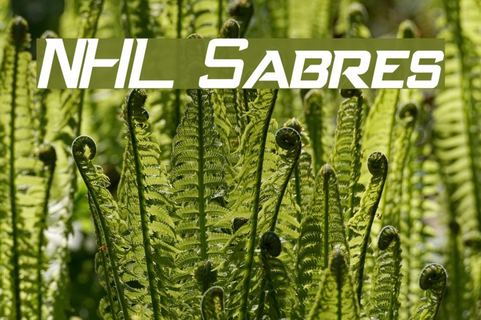NHL Sabres Font examples