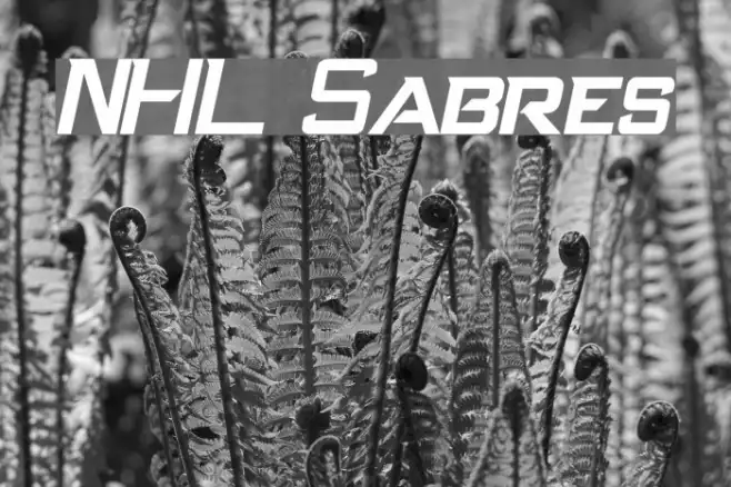 NHL Sabres Example 3
