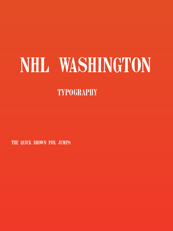 NHL Washington Poster