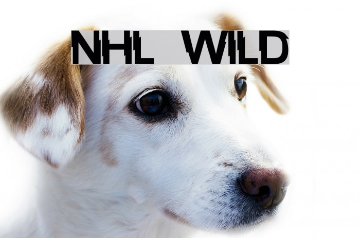 NHL Wild Font examples