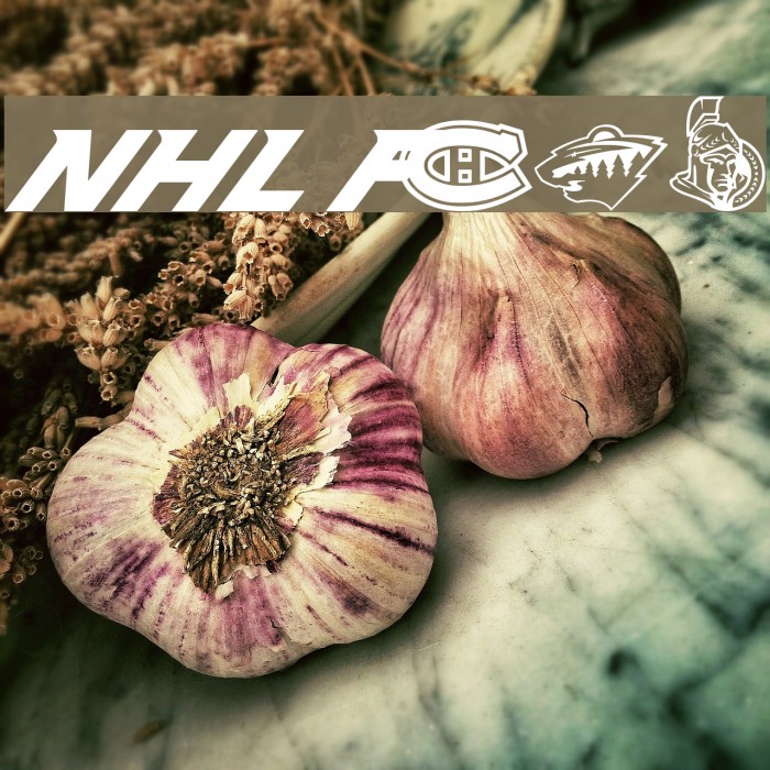 NHL Font examples