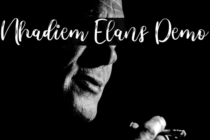 Nhadiem Elans Demo Example 1