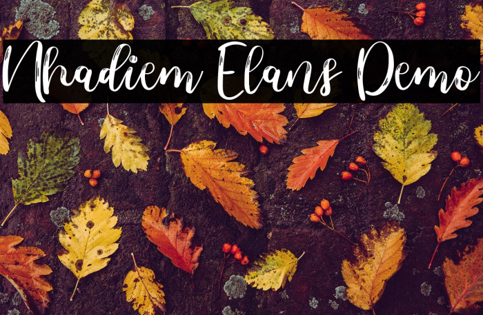 Nhadiem Elans Demo Example 2