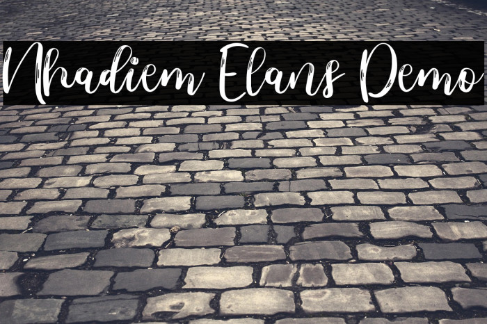 Nhadiem Elans Demo Example 3