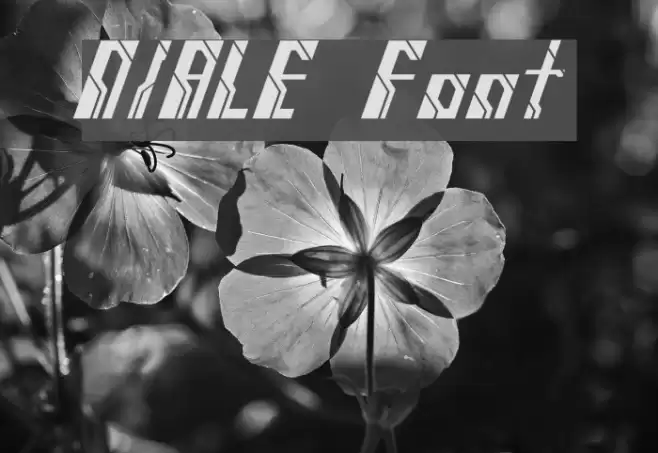 NIALE Font examples