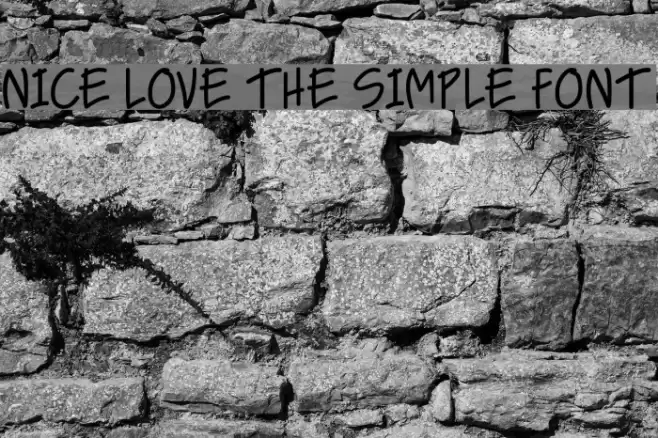NICE LOVE THE SIMPLE FONT Fuentes examples