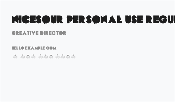 NICESOUR PERSONAL USE-Regular Business Card