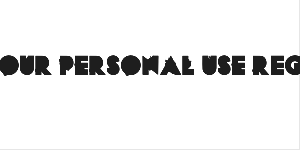 NICESOUR PERSONAL USE-Regular Logo