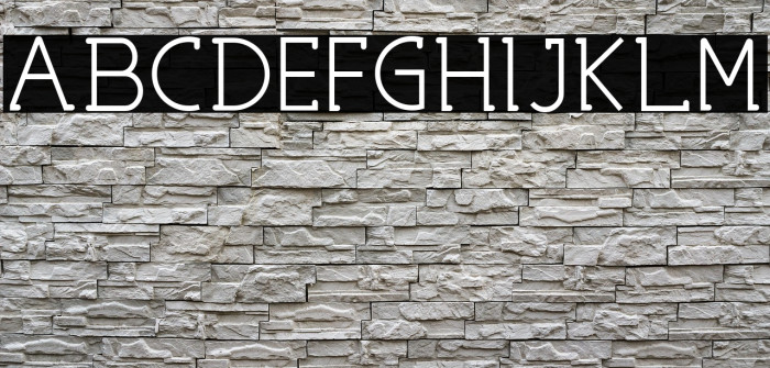 NICOLLS DEMO Medium Example 2