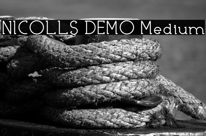 NICOLLS DEMO Medium Example 3