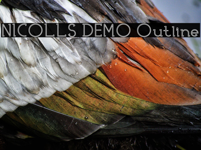 NICOLLS DEMO Outline Example 1
