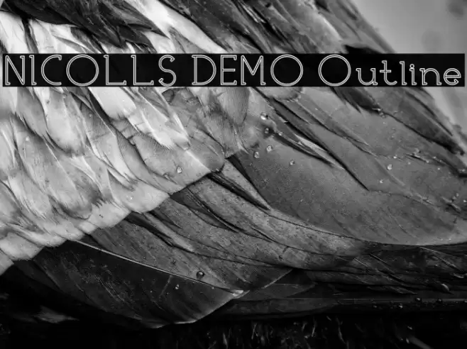 NICOLLS DEMO Outline Font examples