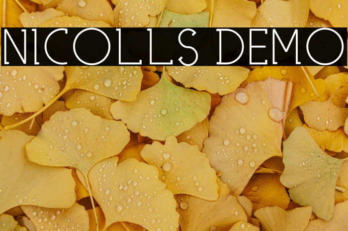 NICOLLS DEMO Example 2